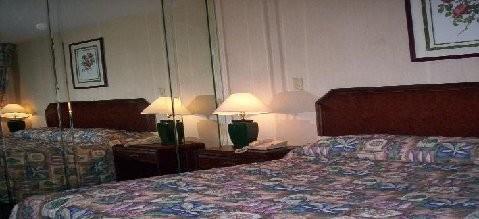 Metro Motel New York Rum bild